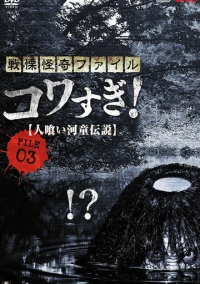 Ужасающие материалы, файл 3: Легенда о каппе-людоеде (2013)